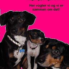 Blanding af racer plet *aflivet*