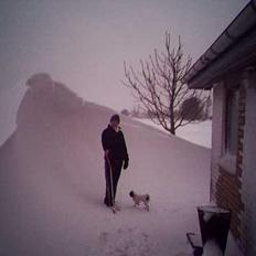 Japanese Daisy ( Hviler i Himlen )