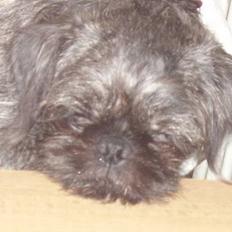 Blanding af racer milla