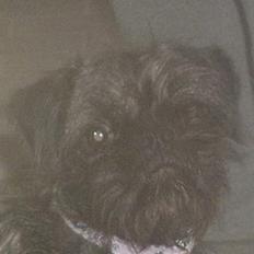 Blanding af racer milla