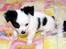 Chihuahua Snoopy