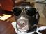 Blanding af racer Zeus Max