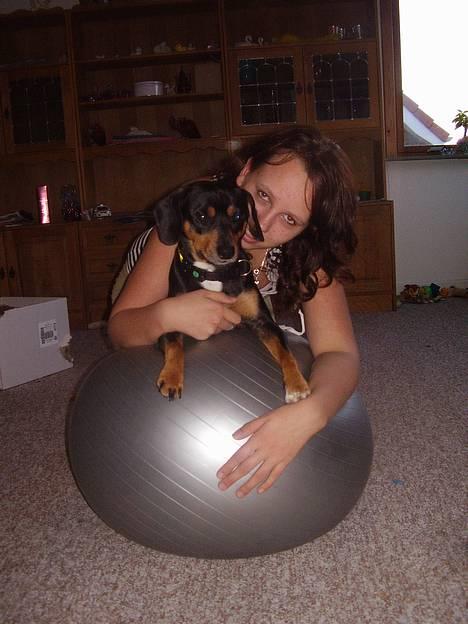 Blanding af racer fnis  - mig og bolt billede 17