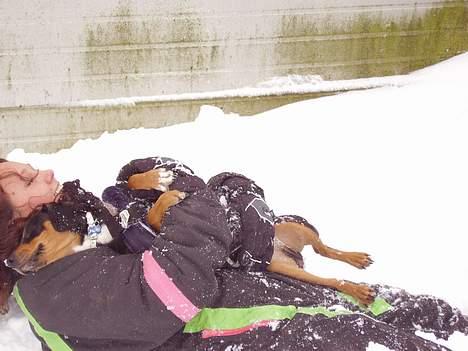 Blanding af racer fnis  - mor redet mig fra den kolde sne billede 18