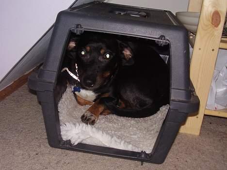 Blanding af racer plet *aflivet* - her er min skamme krog når jeg ved når jeg har gjort nået forkert selv om jeg ikk får balade  billede 2