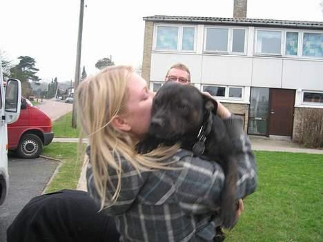 Staffordshire bull terrier Point of View Annie - Mor har været væk i en uge! 18/2-07 billede 16