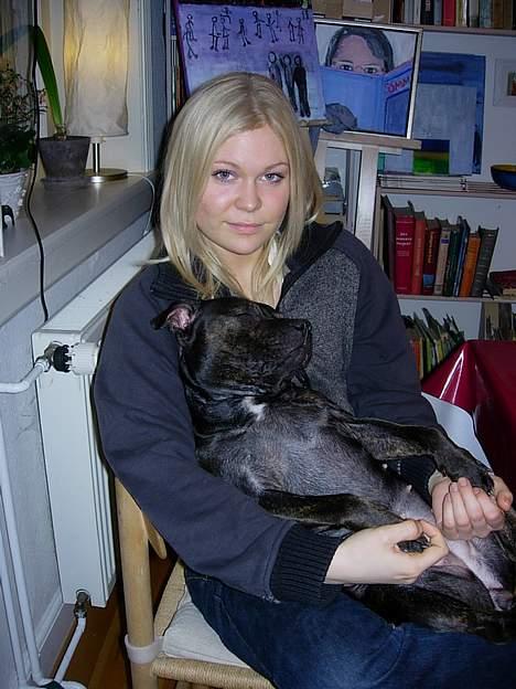 Staffordshire bull terrier Point of View Annie - Annie faldet i søvn hos mor 23/2-07 billede 18