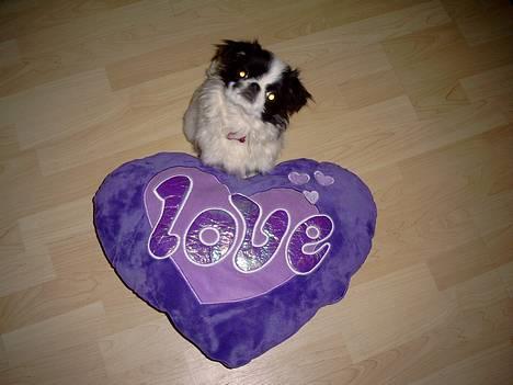 Japanese Tøsen - se.. det er kærlighed billede 2