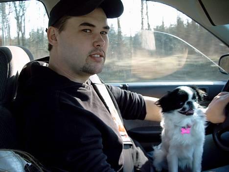 Japanese Tøsen - Elsker at køre bil.. billede 7