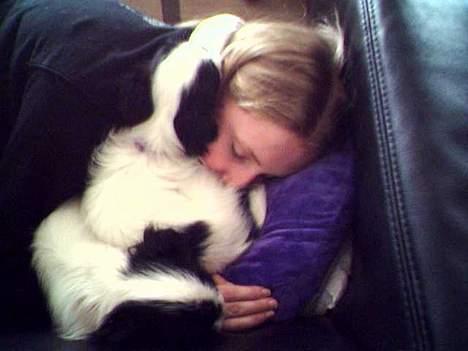 Japanese Daisy ( Hviler i Himlen ) - mor er så dejlig at ligge ved billede 4