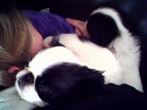 Japanese Daisy ( Hviler i Himlen ) - Ahhh hende mor er bare så blød billede 6