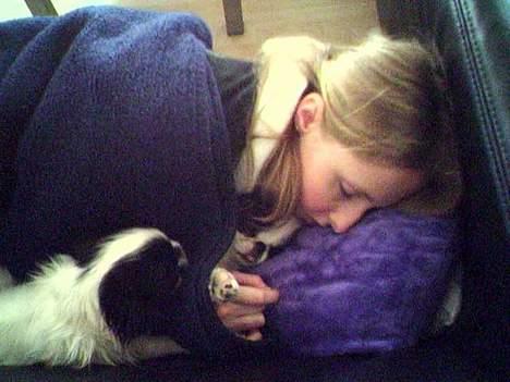 Japanese Daisy ( Hviler i Himlen ) - det er godt at mor passer på mig og Tøsen når vi sover.. se min tunge hehe billede 7