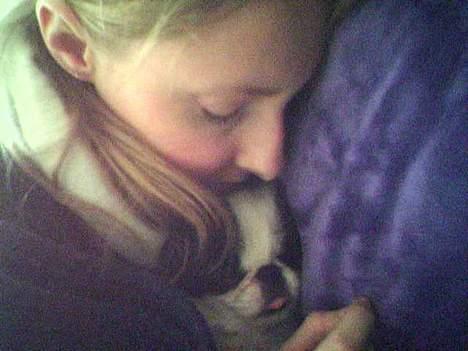 Japanese Daisy ( Hviler i Himlen ) - Se min tunge.. er den ikke sød billede 8