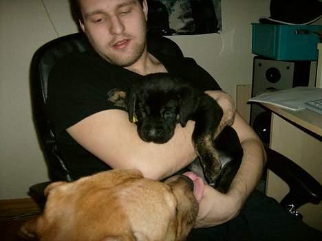 Blanding af racer Dolph billede 10