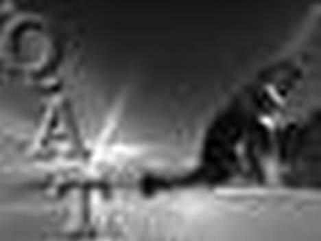 Blanding af racer ~¤~Qato~¤~ billede 16