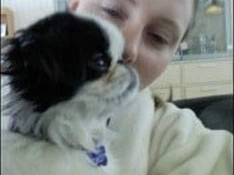 Japanese Daisy ( Hviler i Himlen ) - ligner jeg ikke min mor?? hehe billede 11