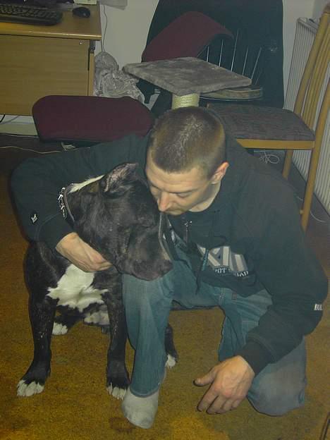 Cane corso obelix - MIg og min far billede 4