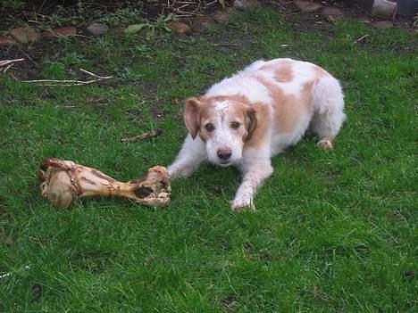 Breton Mikki - Altså- engang i mellem skal man vel have lov til at være lidt grim. ik? billede 9