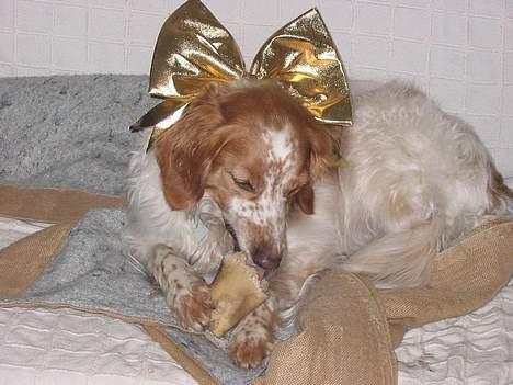 Breton Mikki - Kongen forvandlet til prinsesse. Godt han ikke selv ved hvad det betyder ;P billede 11