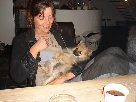 Pomeranian Cise - Nyt den 5/5.07. Hvor vi alle var trætte efter en hård arbejdsdag.. billede 5
