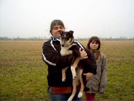 Collie korthåret Annika. I hundehimlen nu billede 7