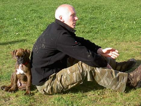 Boxer na frej vics amaryllis - til træning med far billede 5