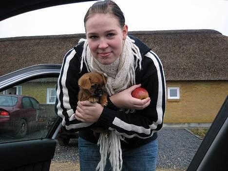 Blanding af racer Bonnie - Min dejlige mor:-) billede 11