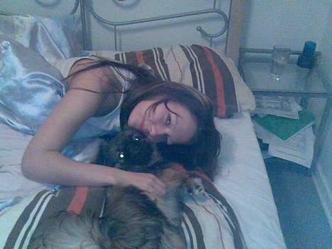 Pekingeser Gizmo - Elsker bare når jeg bliver nussert. billede 17