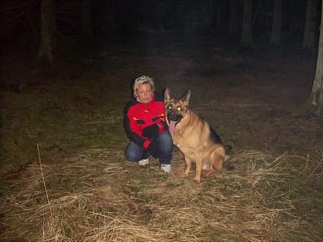 Schæferhund saco - min mor og mig (mig til højre) på tur i skoven billede 4