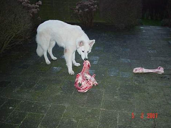 {{currentPhoto.altText}} billede {{currentPhoto.number}}