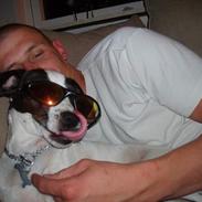 Dansk svensk gaardhund Lucky R.I.P