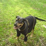 Blanding af racer Santos*R.I.P*