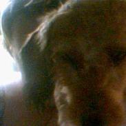 Gravhund Frida