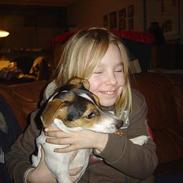 Jack russell terrier kila