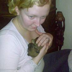 Blanding af racer Dobby **R.I.P**