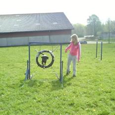 Blanding af racer Bella