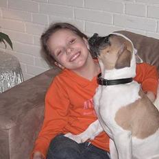 Amerikansk bulldog liva
