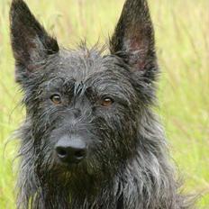 Picard Poupet de la Tour Philipp