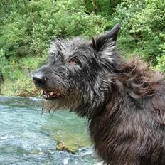 Picard Poupet de la Tour Philipp