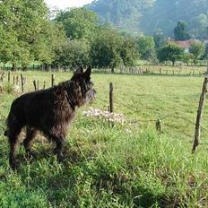 Picard Poupet de la Tour Philipp