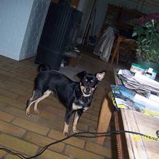 Blanding af racer Bandit