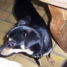 Blanding af racer Bandit