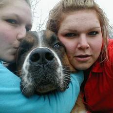 Sankt bernhardshund Bianca *R.I.P*