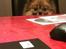 Pomeranian Cise - Jeg kan lige kigge over bordet  :-)