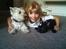 West highland white terrier Mille R.I.P - Her er jeg med Bobo & Michelle