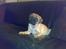 Blanding af racer •(¯`» Kong ·«´¯)•75%mops - Får jeg ikke snart en godbid, du har taget billeder nok nu mor