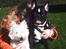 West highland white terrier Mille R.I.P