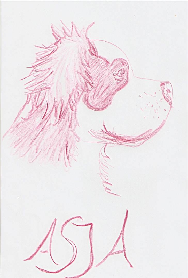 Blanding af racer Asja, R. I. P - Se.......Min mor har tegnet et billede af mig........er jeg ikke fiiiiinnnnn billede 15