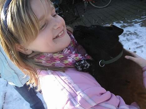 Australsk kelpie Gaia - Leger med kusine cille, er ret god til at nysse... billede 2