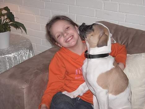 Amerikansk bulldog liva - en hyggestund med Nadia  billede 3